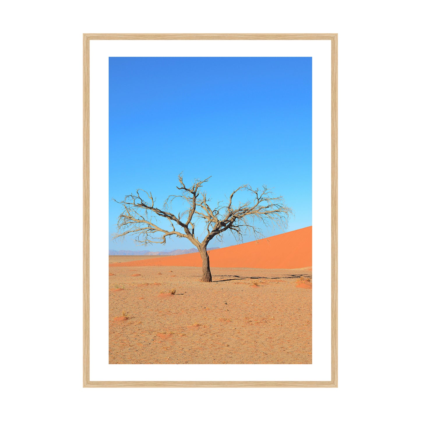 A Solitary Tree I, 2019 - [ Arté ]