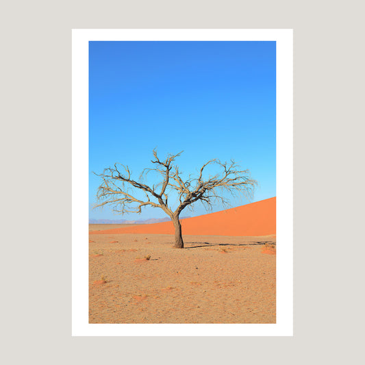 A Solitary Tree I, 2019 - [ Pictūra ]