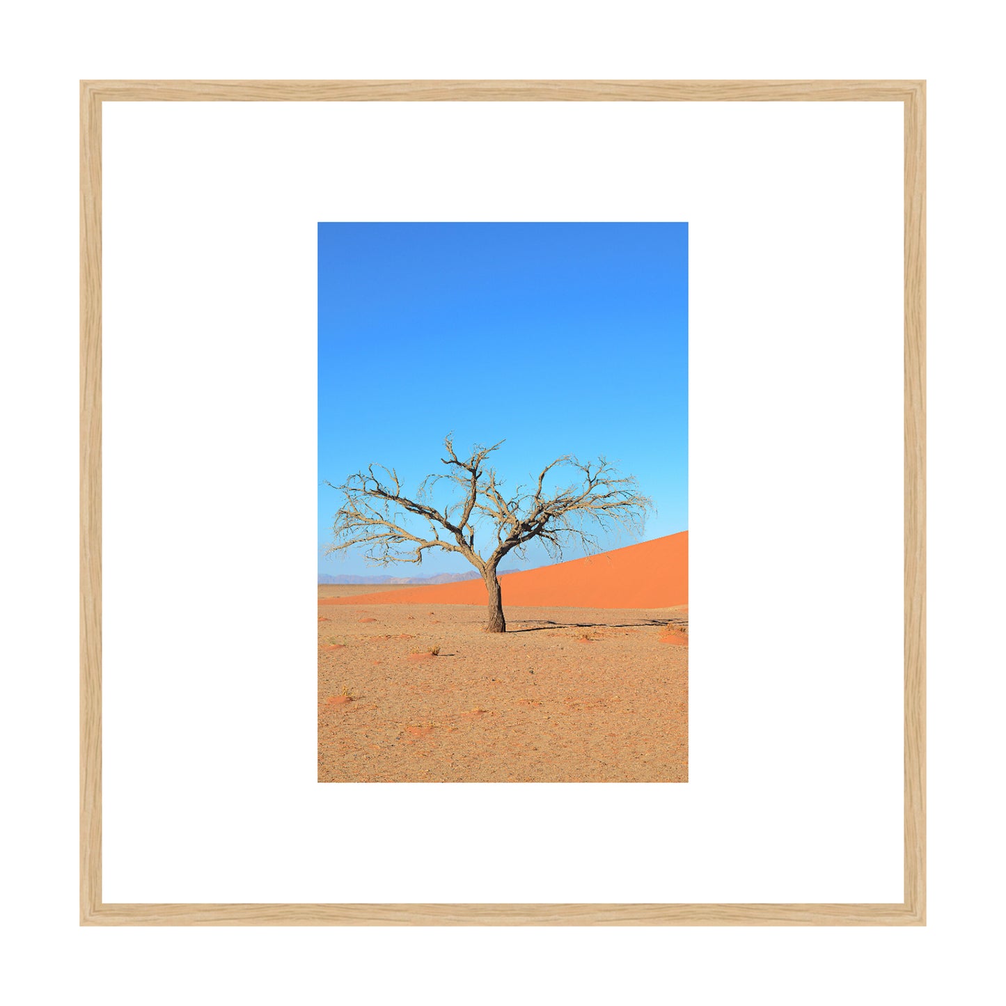 A Solitary Tree I, 2019 - [ Creativ ]