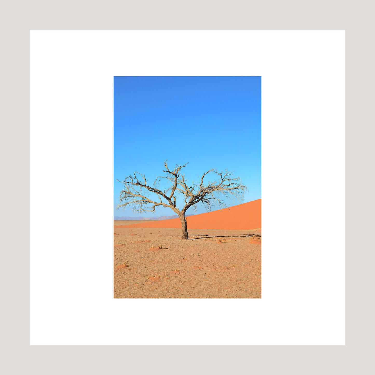 A Solitary Tree I, 2019 - [ Creativ ]
