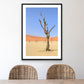 Desert Garden, 2019 - [ Pictūra ]