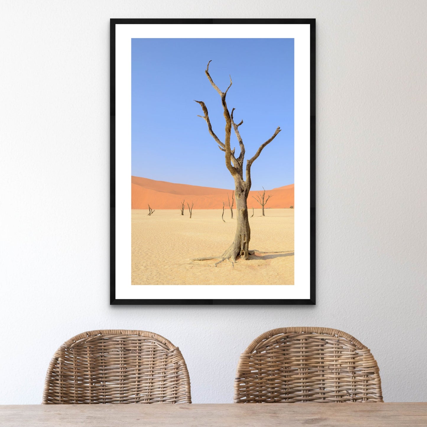 Desert Garden, 2019 - [ Pictūra ]