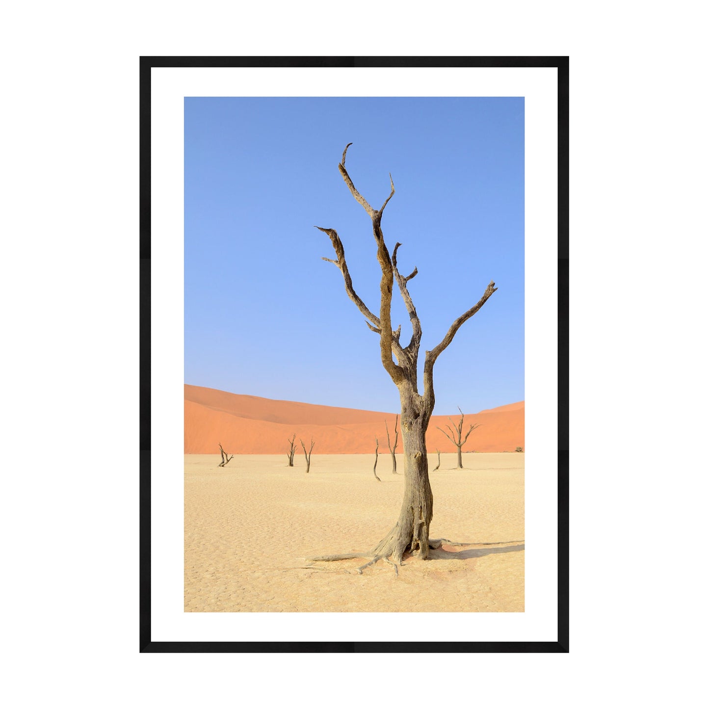 Desert Garden, 2019 - [ Arté ]