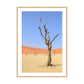 Desert Garden, 2019 - [ Arté ]