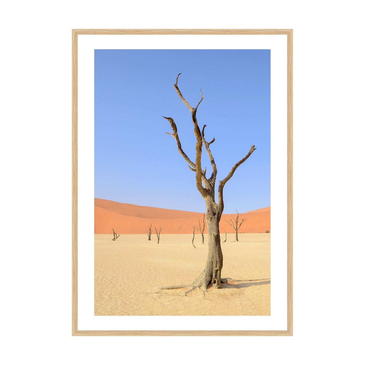 Desert Garden, 2019 - [ Arté ]