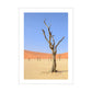 Desert Garden, 2019 - [ Arté ]