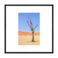 Desert Garden, 2019 - [ Creativ ]