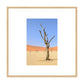 Desert Garden, 2019 - [ Creativ ]