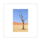 Desert Garden, 2019 - [ Creativ ]