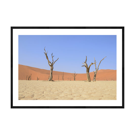 Escape, 2019 - [ Arté ]