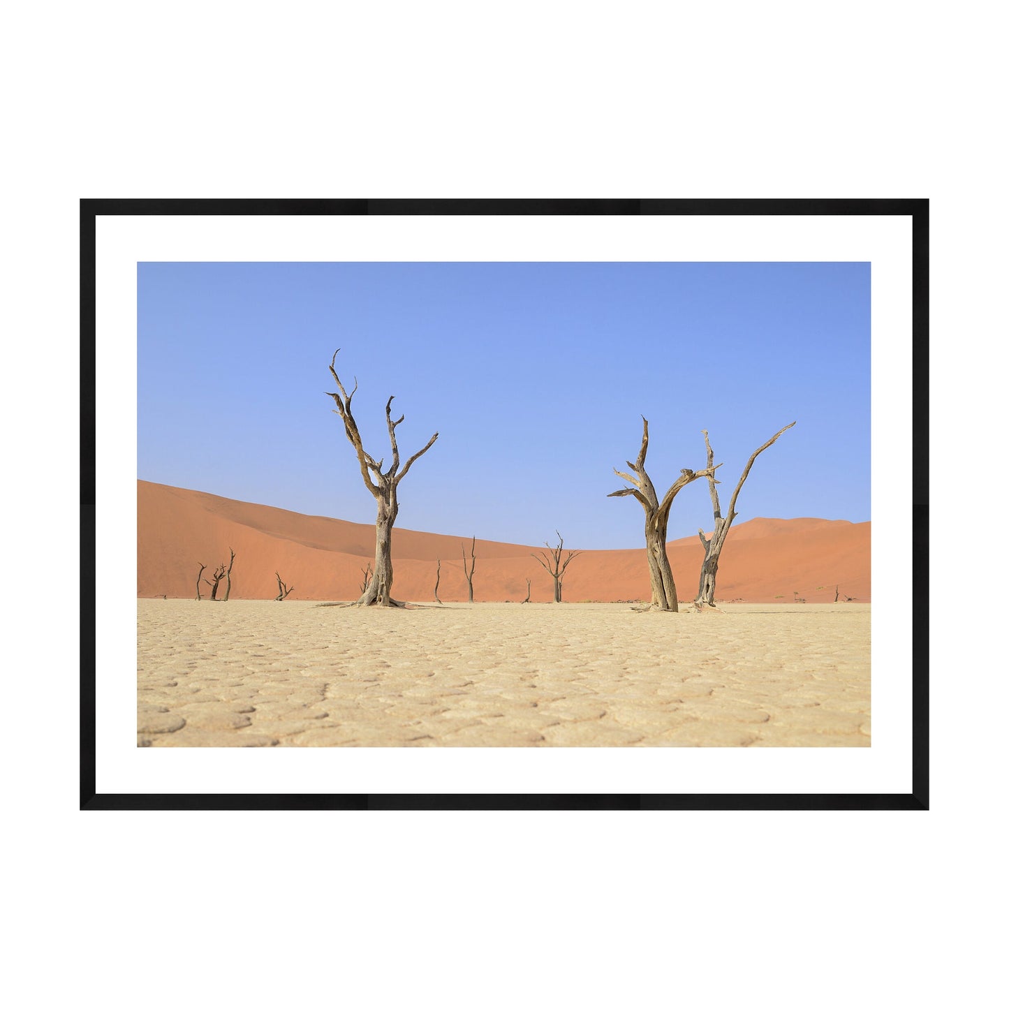 Escape, 2019 - [ Arté ]