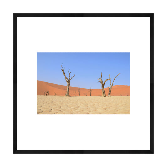 Escape, 2019 - [ Creativ ]