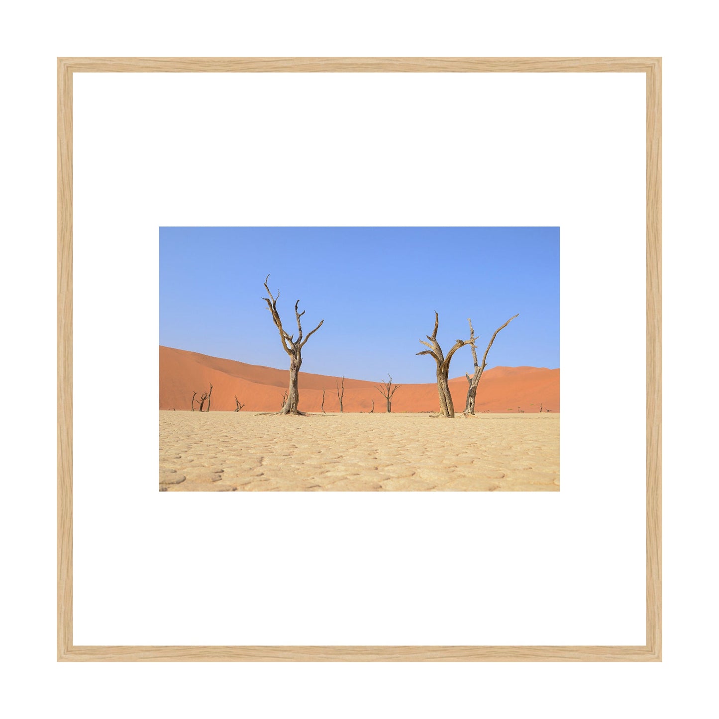 Escape, 2019 - [ Creativ ]