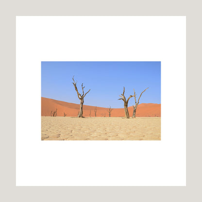 Escape, 2019 - [ Creativ ]