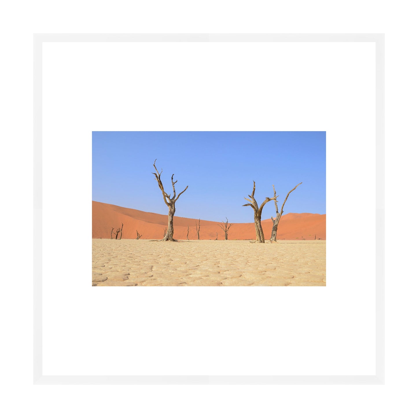 Escape, 2019 - [ Creativ ]