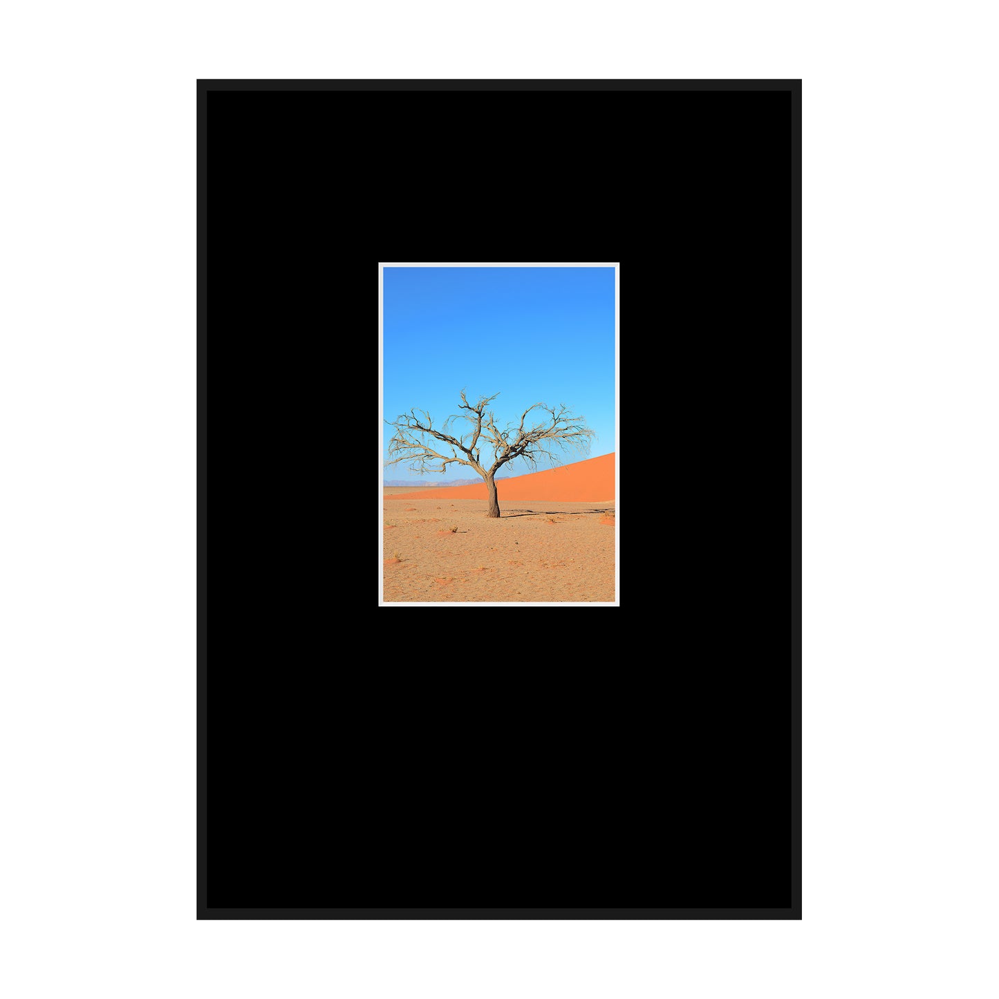 A Solitary Tree I, 2019 - [ Motiv ]