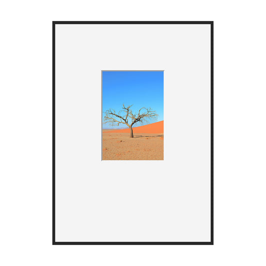 A Solitary Tree I, 2019 - [ Motiv ]