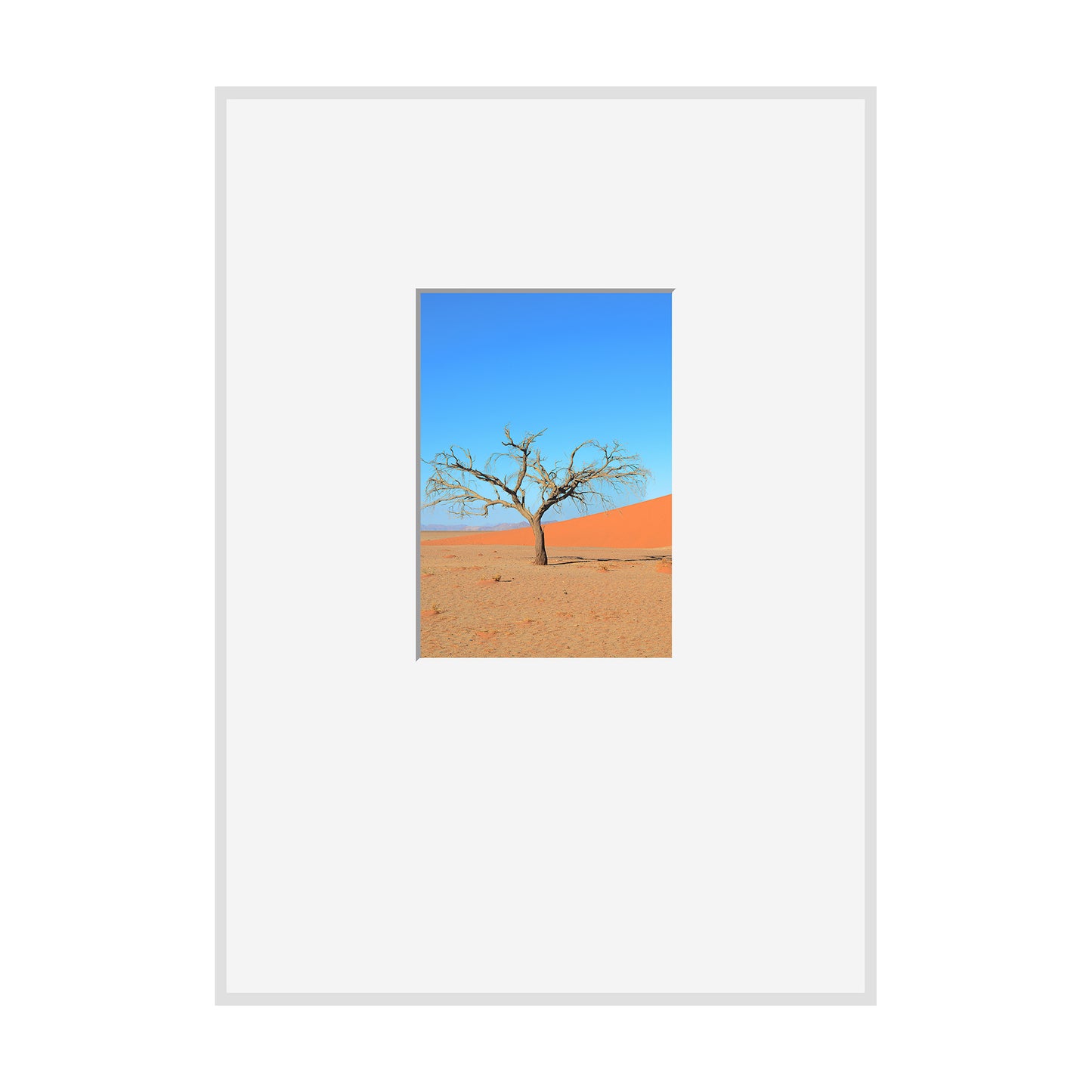 A Solitary Tree I, 2019 - [ Motiv ]
