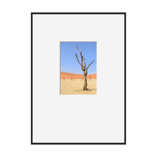 Desert Garden, 2019 - [ Motiv ]